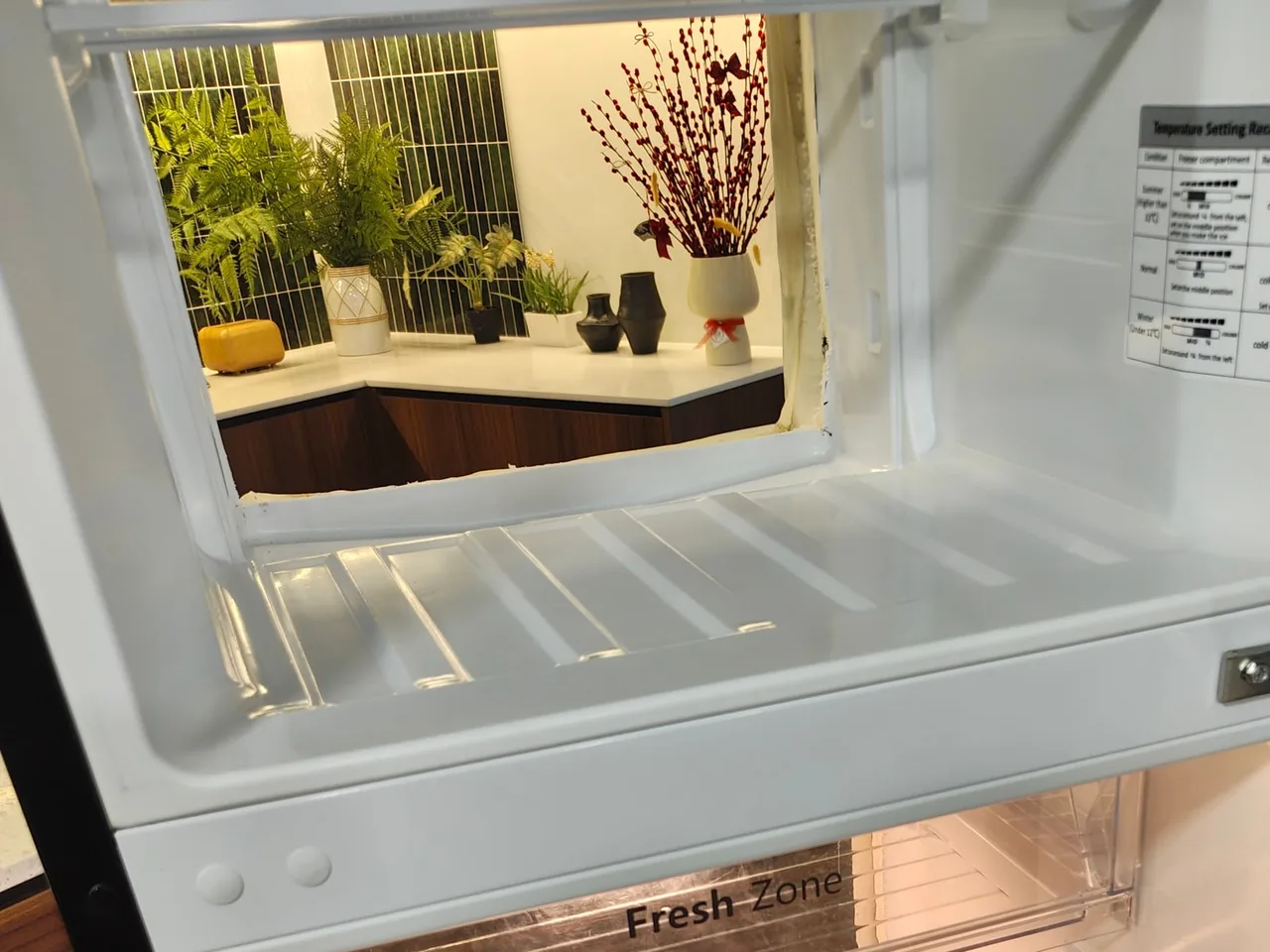 The open-back fridge, from inside